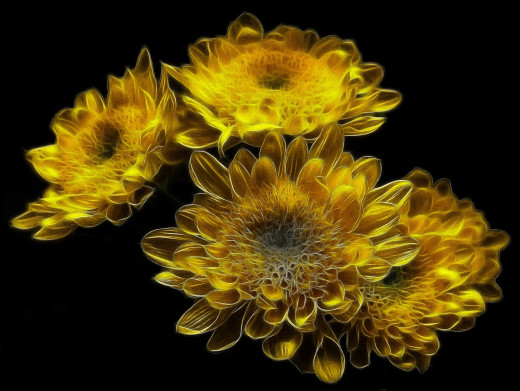 785341 (a): :2046x1535